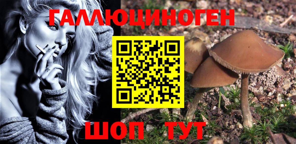 Псилоцибиновые грибы Magic Shrooms Новый Уренгой