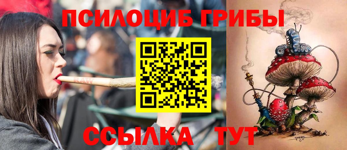 Псилоцибиновые грибы Psilocybe  Вход с VPN  Псилоцибиновые грибы MAGIC MUSHROOMS  Новый Уренгой 